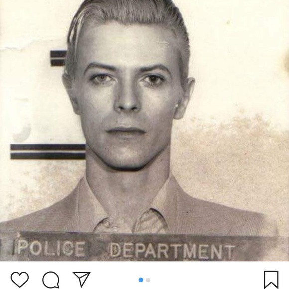 Meet your Posher, Misha - Picture 1 of 1